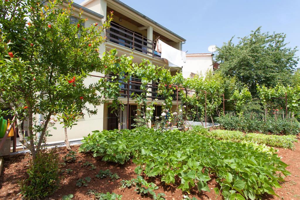 Apartment Oliva PUY Eksteriør bilde